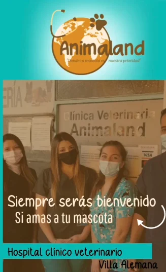 Veterinaria en Villa Alemana - atención profesional